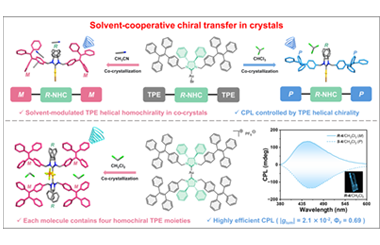 Chiral Au(I)-NHC complexes: Manipulating TPE chirality in crystals via solvent-cooperative chiral transfer 2026.101047